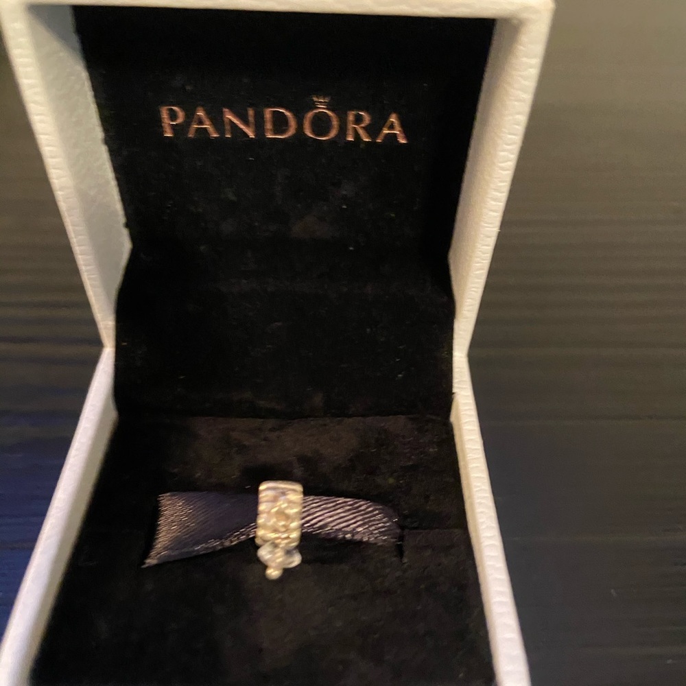 Pandora charm